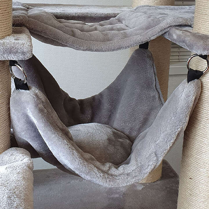 Nobby Kratzbaum Rubi